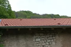 IMG_20250423_091245_745